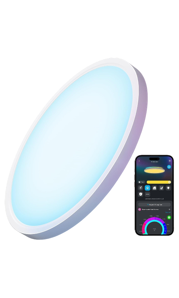 Smart Ceiling Light 2400LM Works with Alexa by Govee
